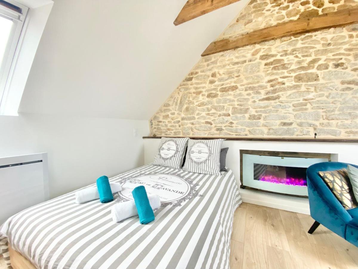 Le Calloch 3D - Standing - Calme - Wifi - Smart Tv 坎佩尔 外观 照片