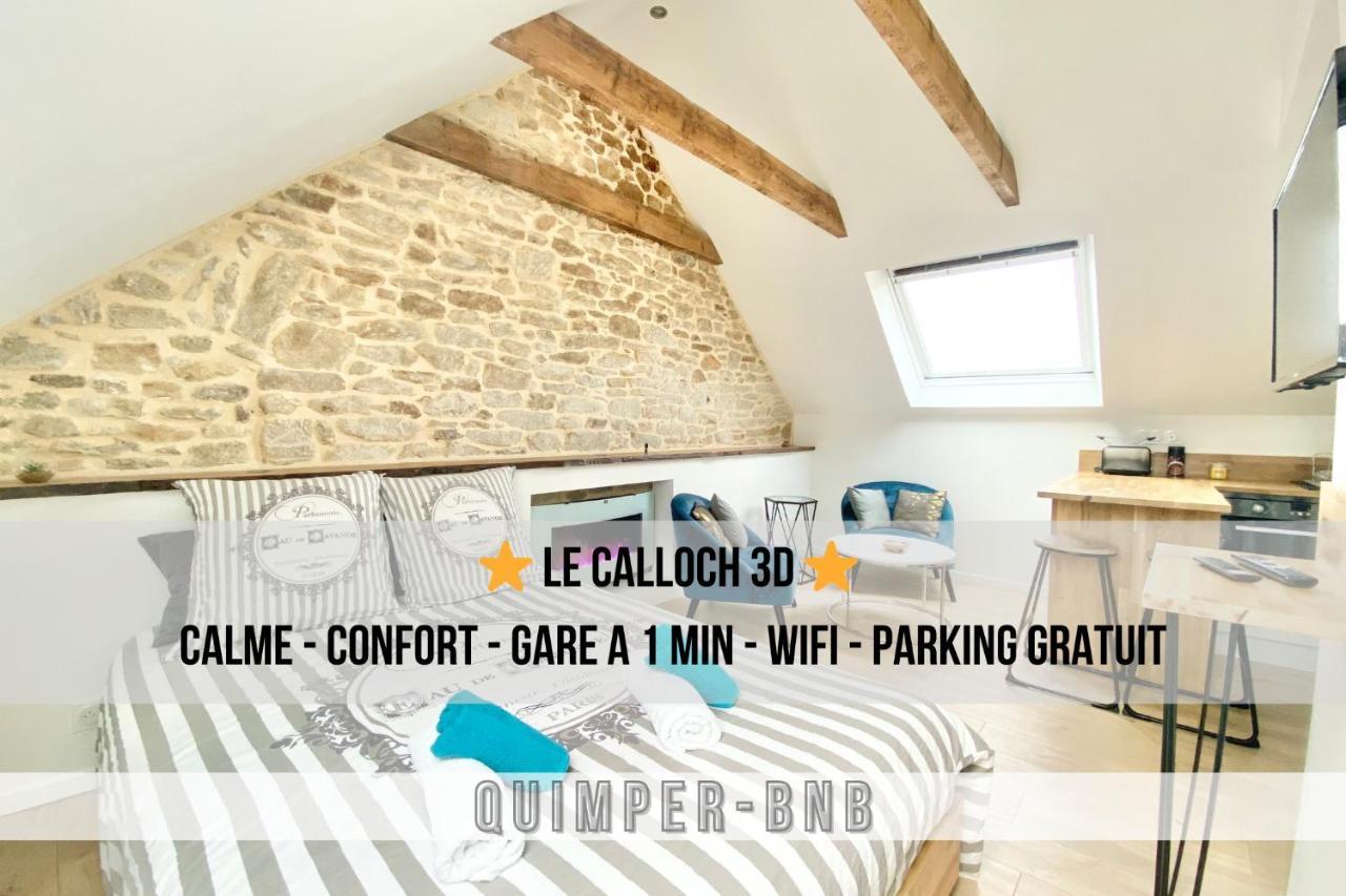 Le Calloch 3D - Standing - Calme - Wifi - Smart Tv 坎佩尔 外观 照片